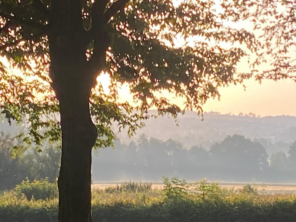 Wandern in Lemgo